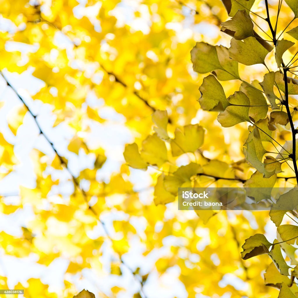 istockphoto-638038176-1024x1024
